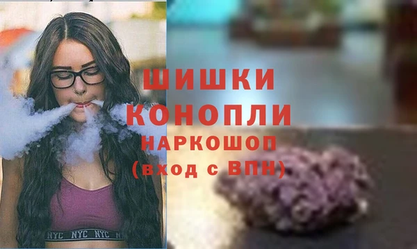 спайс Билибино