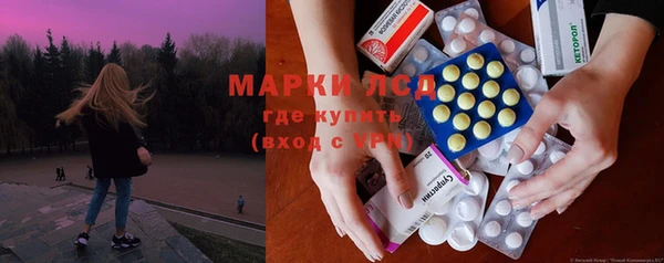 ECSTASY Бикин