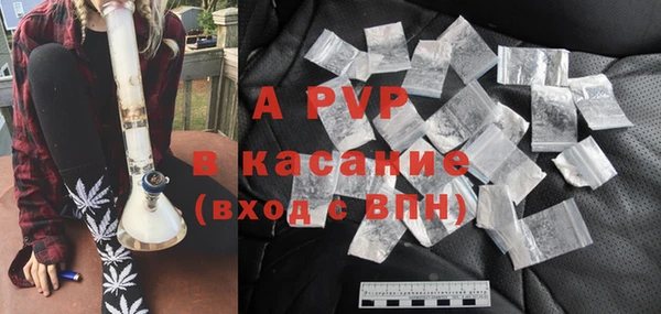 ECSTASY Бикин