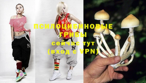 спайс Билибино