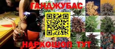 ешки Гатчина
