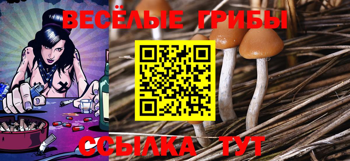 цена наркотик  Галлюциногенные грибы Cubensis  Вход с VPN  Галлюциногенные грибы мицелий  Кимовск 