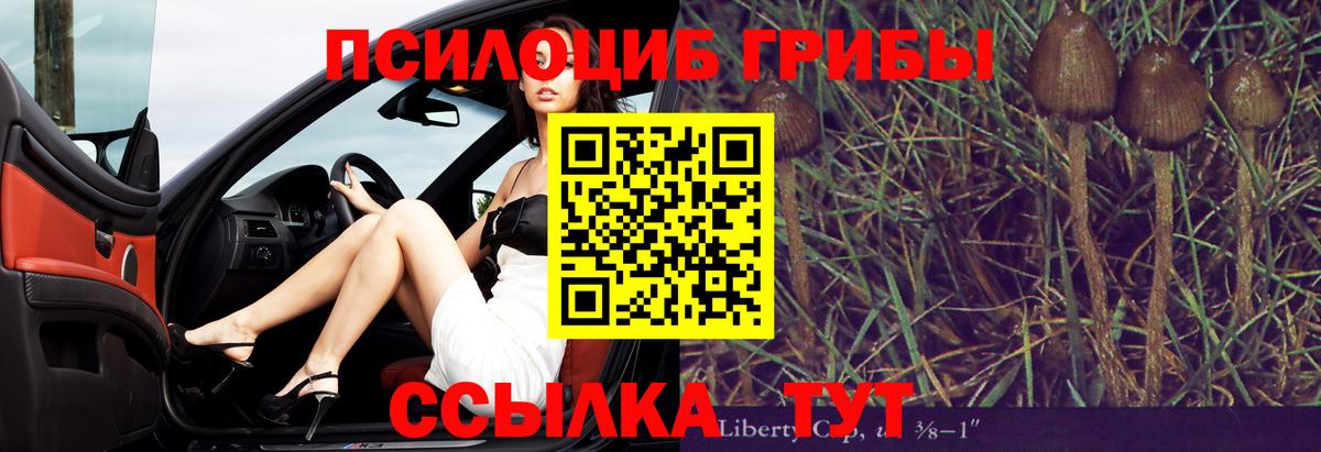 Псилоцибиновые грибы Psilocybine cubensis  Псилоцибиновые грибы ЛСД  Кимовск 