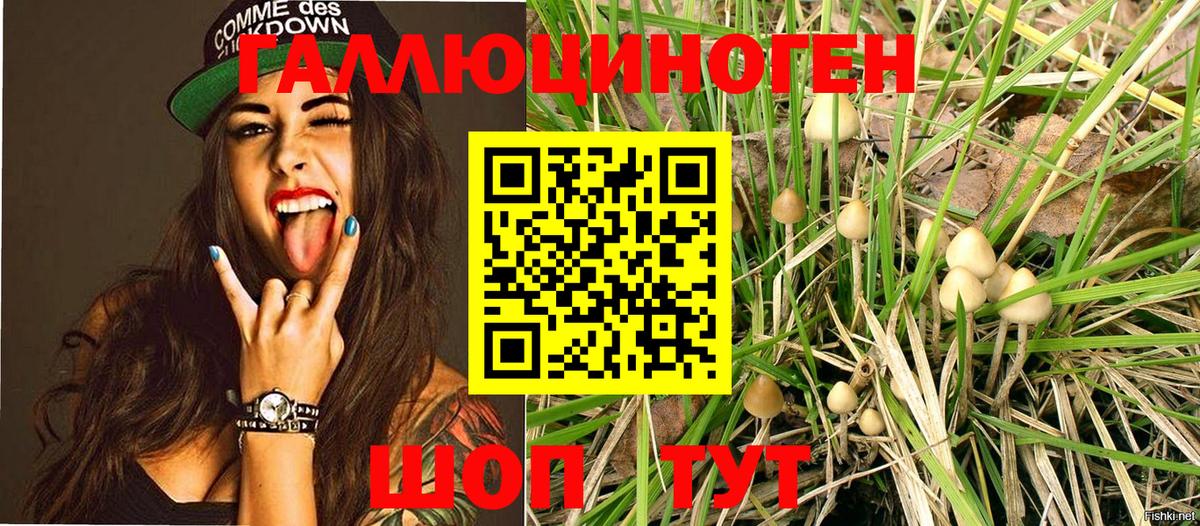 Галлюциногенные грибы MAGIC MUSHROOMS Кимовск